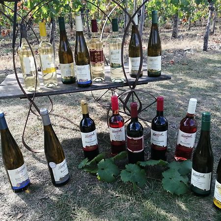 Ferienweingut Winnebeck Köwerich Exteriér fotografie