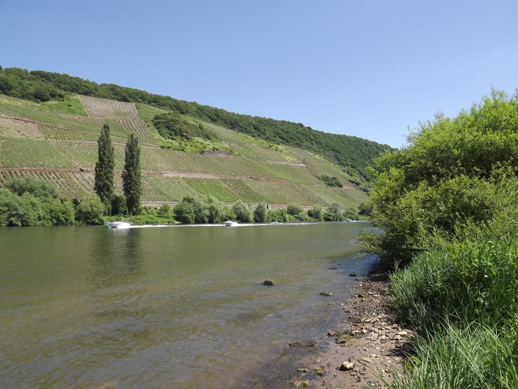Ferienweingut Winnebeck Köwerich Pokoj fotografie