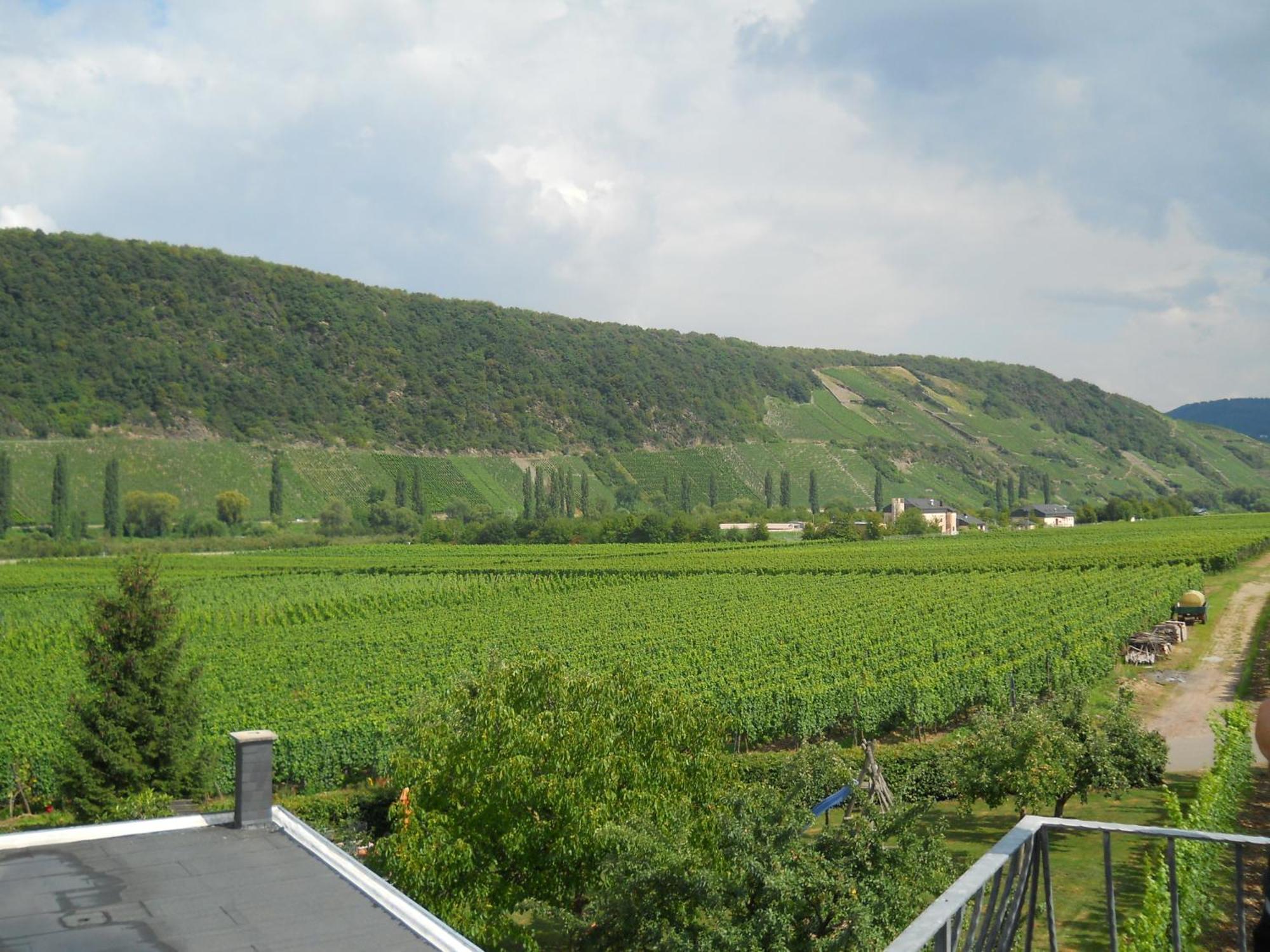 Ferienweingut Winnebeck Köwerich Pokoj fotografie