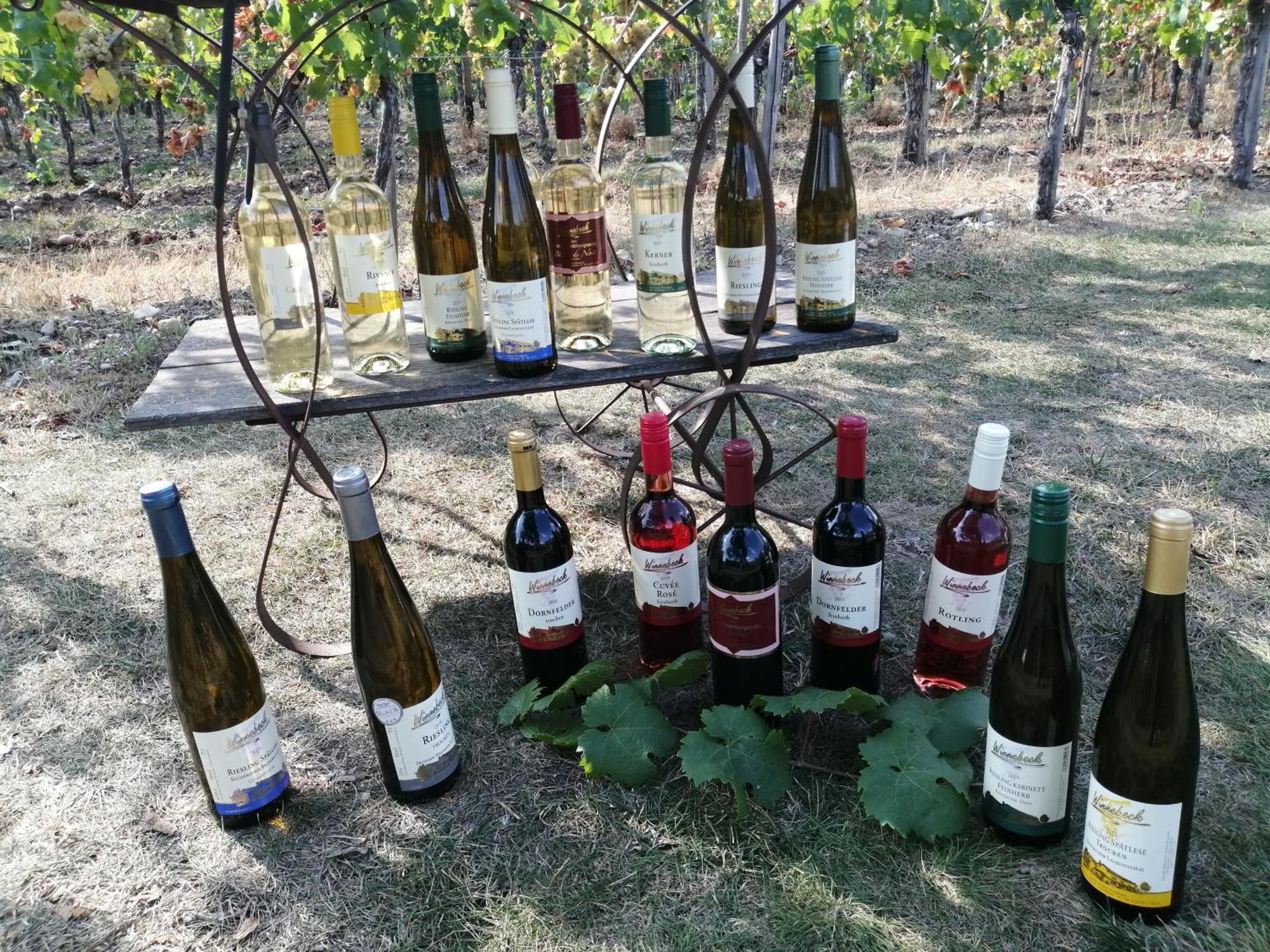 Ferienweingut Winnebeck Köwerich Exteriér fotografie