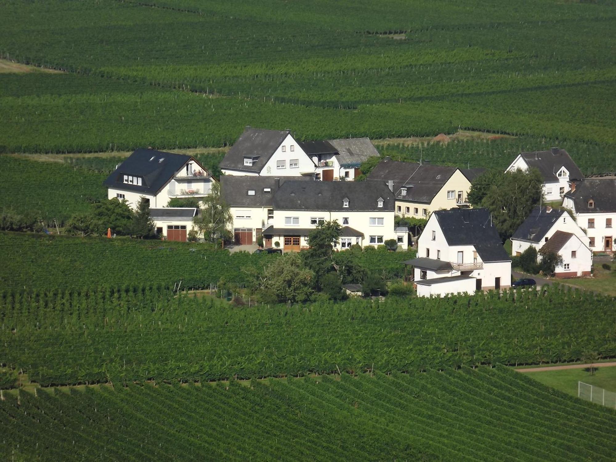 Ferienweingut Winnebeck Köwerich Pokoj fotografie