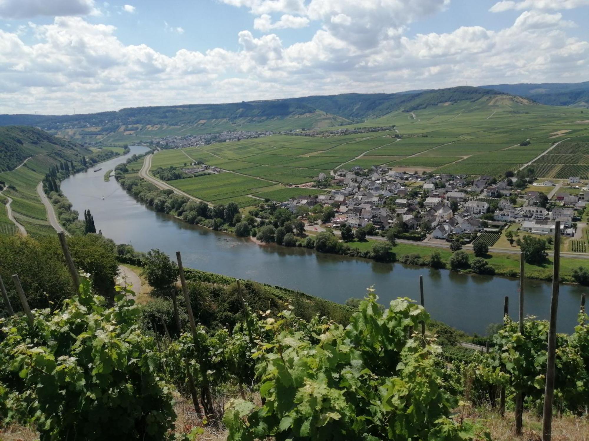 Ferienweingut Winnebeck Köwerich Exteriér fotografie