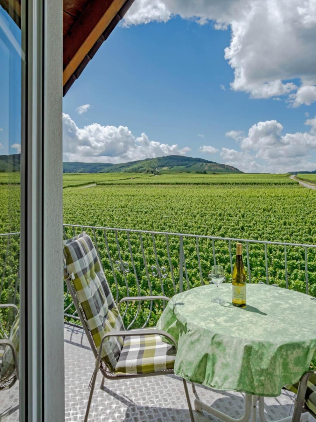 Ferienweingut Winnebeck Köwerich Exteriér fotografie